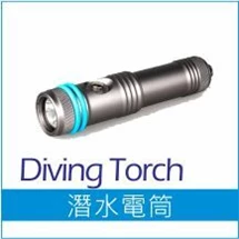 Diving Torch