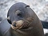 厄瓜多爾-船潛 7晚 加拉巴哥斯群島 GALAPAGOS ISLAND *自由行出發* (價錢不包括來回機票)
