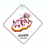 CAR SIGN DIVER DRIVING Tammy Nudibranch