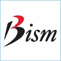 Bism Gauge