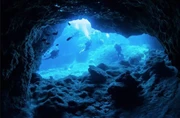 日本沖繩本島-7日6晚-潛水旅遊 *自由行出發*