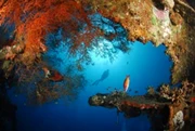 印尼North Sulawesi Manado + Lembeh - 精選8日6晚 *自由行出發*