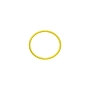 RG Blue Float O-Ring (oo/re)