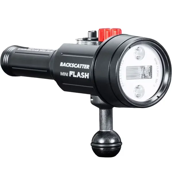 bs-mf-3_03-_1_.webp