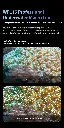 1760941464102484.webp