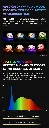 1737616693438409.webp
