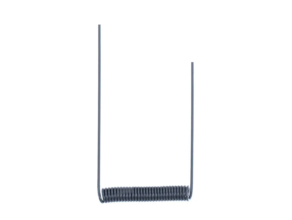 foc-am_3.webp