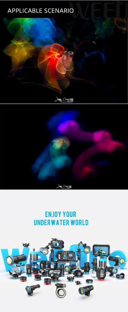 1737616696481616.webp