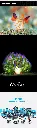 1755748937192209.webp