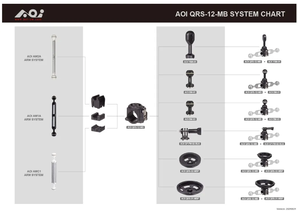 aoi_qrs-12-mb_system_chart.webp