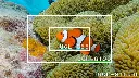 05_lens_frame_n.webp