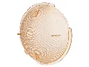 INON-Inon Dome Filter(4600K)