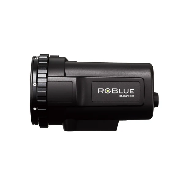 RG BLUE-Battery Module (Large)