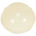 BACKSCATTER-Hybrid Flash 5500K 160° Dome Diffuser