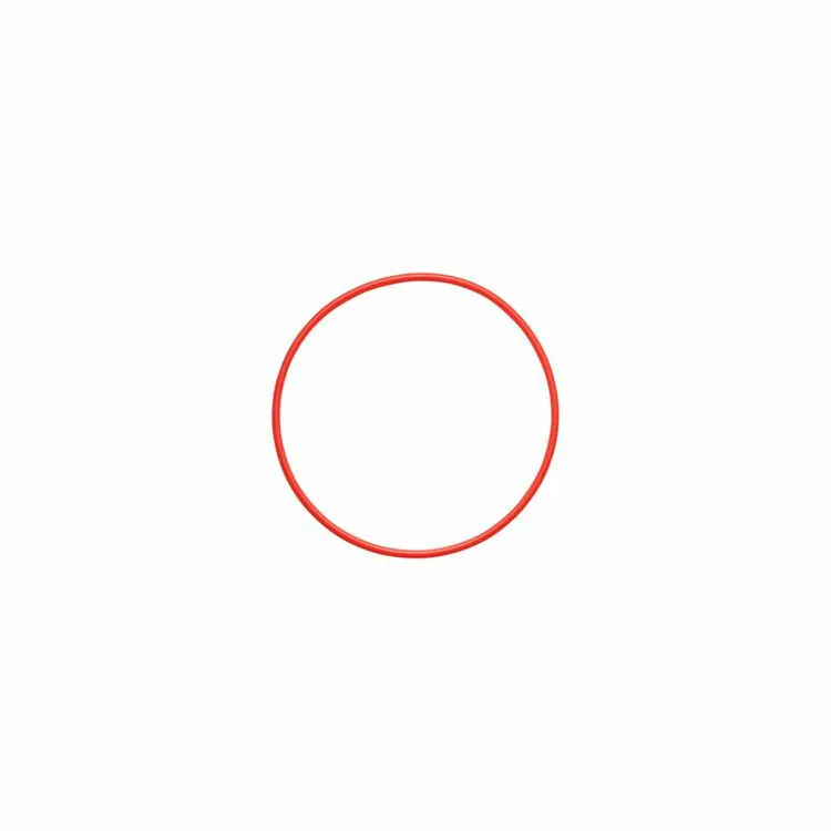 OLYMPUS-O-RING FOR PT-058