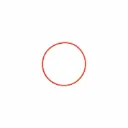 OLYMPUS-O-RING FOR PT-058